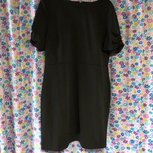 Ann Taylor dress NWT